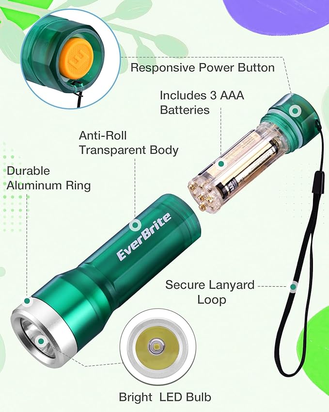 EverBrite Mini Flashlight, LED Flash Light with 3 Modes, 3 AAA Batteries Included, Water-Resistant Small Flashlight for Emergencies and Camping, Green, Christmas Gifts,1 Pack