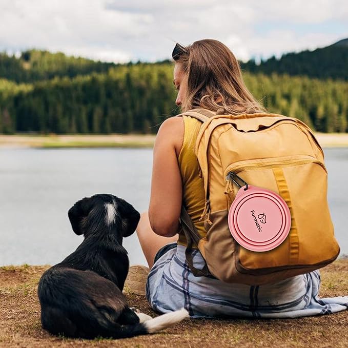 Portable Collapsible Dog Bowl, Food Grade Silicone, Large Capacity, Easy to Wash - Ideal for Outdoor Camping and Hiking, Suitable for Dogs, Cats, and Pets (Pink)