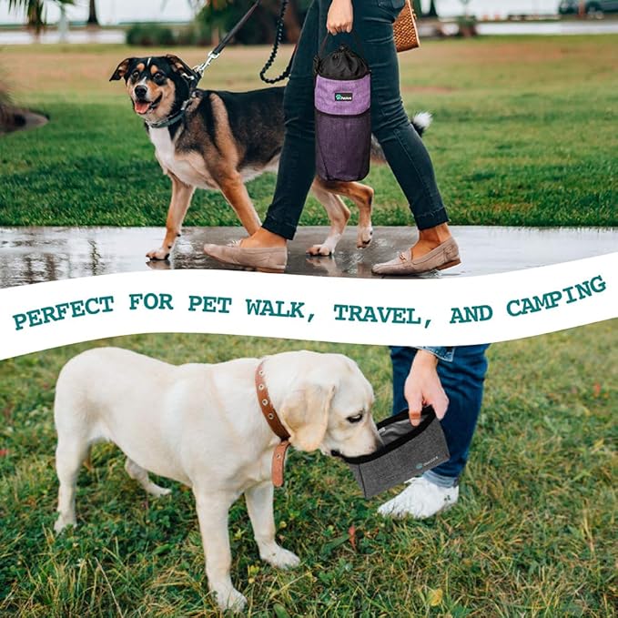 PetAmi Travel Dog Food & Water Bowls Set, Collapsible Dog Kibble Bag, Cat-Friendly, Foldable Waterproof Camping Bowls for Hiking, Purple & Gray