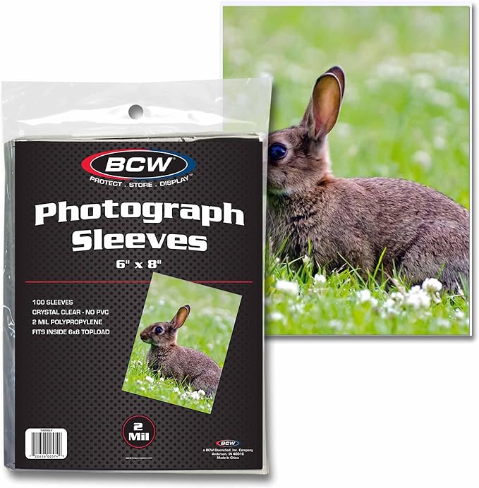 BCW 6x8 Photo Sleeves - 100 Pack | Archival Photo Sleeves for Art, Postcards & Photos | Acid-Free, No PVC | Archival Quality for Storage & Display