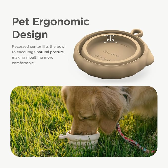 Silicone Collapsible Dog Bowl for Travel, Portable Water Bowl for Dogs Cats, Foldable Food Water Bowl for pet, Camping, Traveling, Walking, Carabiner Included, BPA Free, Dishwasher Safe