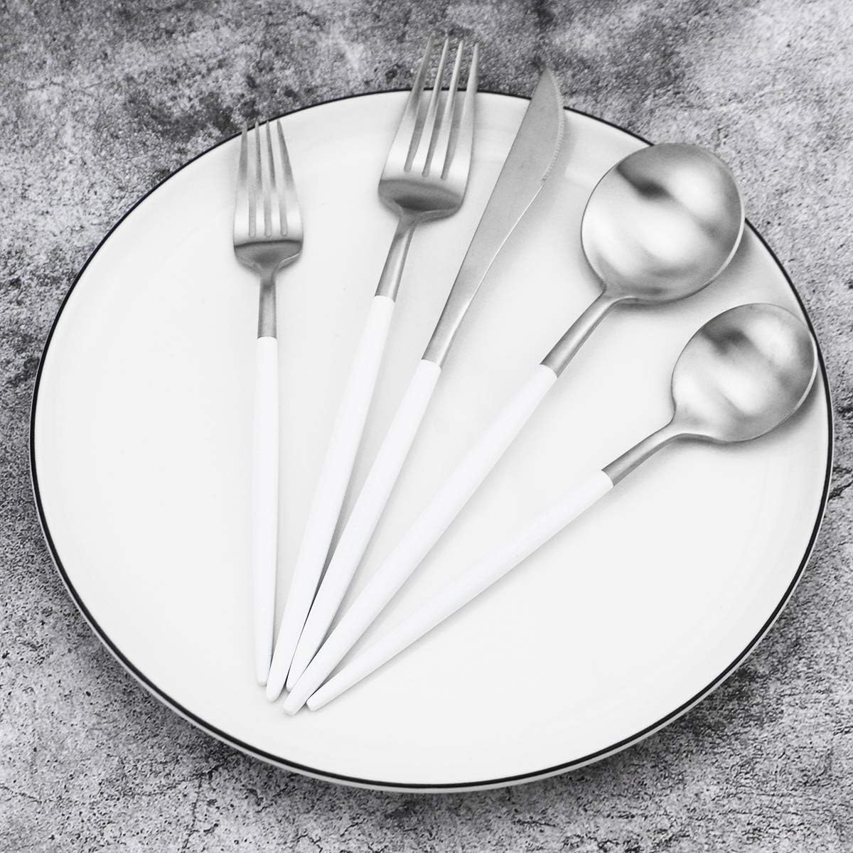 Gugrida 5-Piece Matte Silver Stainless Steel Satin Finish Flatware Set - Dishwasher Safe, Perfect for Camping, Office Lunch or Home Use