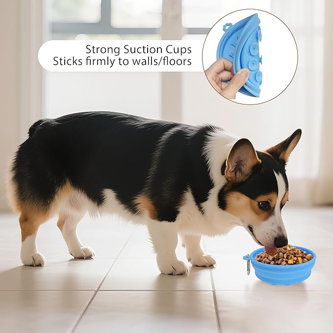 2-Pack Collapsible Dog Bowls with Suction Cups & Scraper - 16oz Travel Pet Bowls for Food/Water, Non-Slip Feeding Dish for Dogs, Includes Carabiner Clip Blue&Grey
