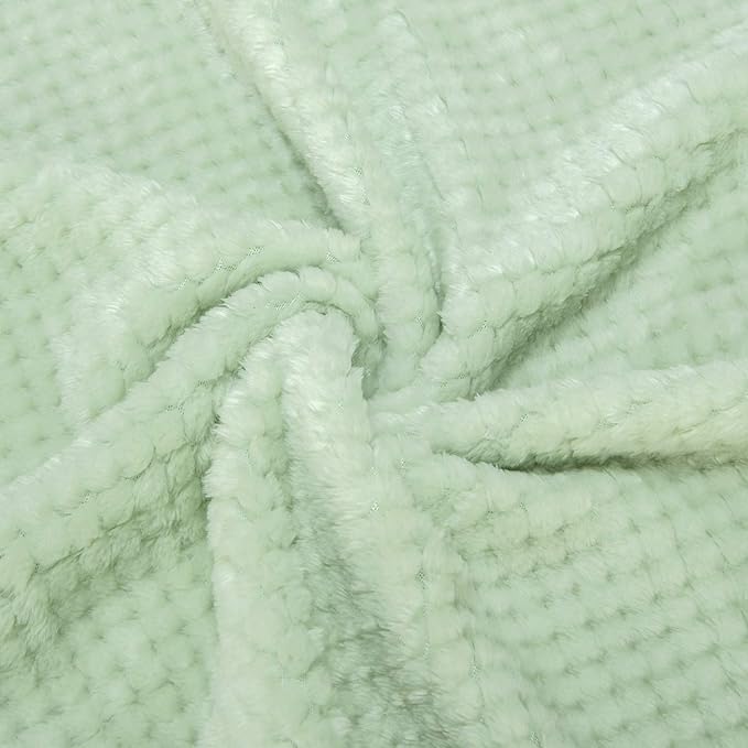 Fuzzy Throw Blanket, Plush Fleece Blankets for Adults, Toddler, Boys and Girls, Warm Soft Blankets and Throws for Bed, Couch, Sofa, Travel and Outdoor, Camping (40”×60”, Pastel Green)