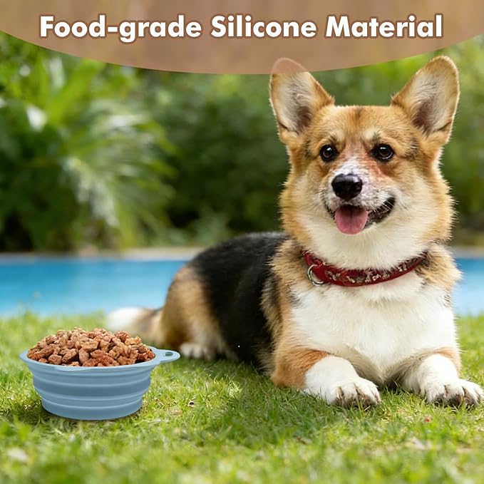 Collapsible Dog Bowls 2 Pack, Silicone Dog Bowl for Small Dogs, Dog Travel Bowl with a Lanyard Hole, Puppy Bowls for Water and Food, Travel Pet Bowls Blue & Pink, 11.3oz × 2