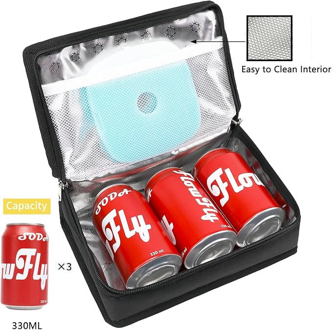 FlowFly Small Insulated Lunch box Portable Soft Bag Mini Cooler Thermal Meal Tote Kit with Handle for Work & School, Black