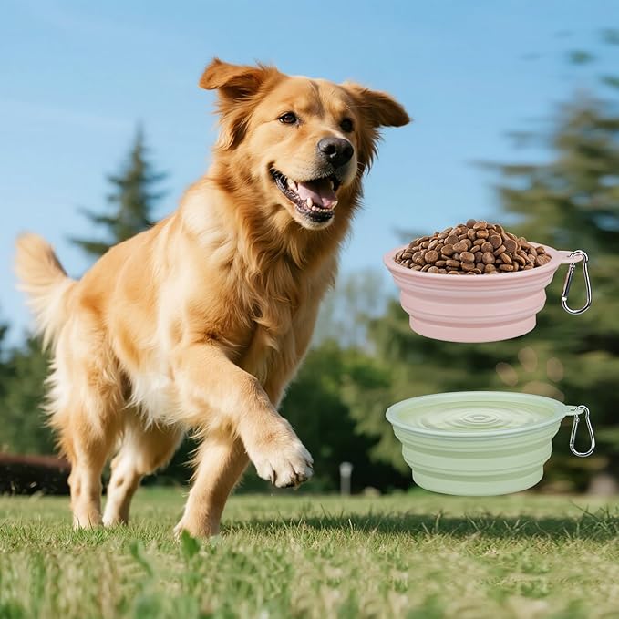 Collapsible Dog Bowls 2-Pack, 22OZ Silicone Large Breed Water & Food Bowls, Portable Pet Bowls with Hook for Travel, Meet Needs in Different Scenarios,Pet Essentials
