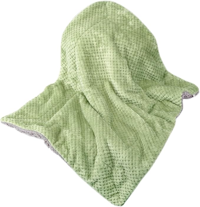 Fuzzy Sherpa Reversible Blanket for Baby, Soft Warm Cozy Coral Fleece Toddler, Infant or Newborn Reversible Blanket for Crib, Stroller, Travel, 40”×60”, Pastel Green