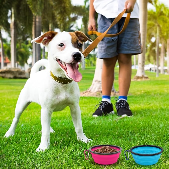 2-Pack Small Dog Travel Bowl, Collapsible Bowls for Dogs, Foldable Cat Water Bowl, Portable Pet Feeding Watering Traveling Dish (Pink & Light Blue)