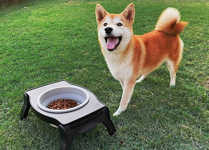 Tuff Pupper Elevated Dog Bowl - Single Raised Collapsible Travel Bowl Holds 80oz/12cups Food/Water