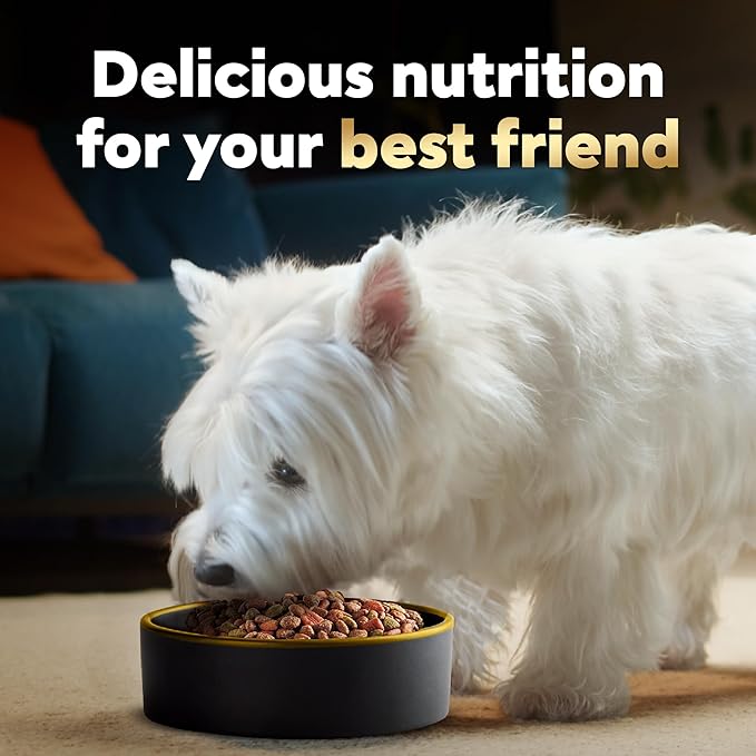 Cesar Small Breed Dry Dog Food for Small Dogs, Filet Mignon Flavor and Spring Vegetables Garnish, 2.7 lb Bag
