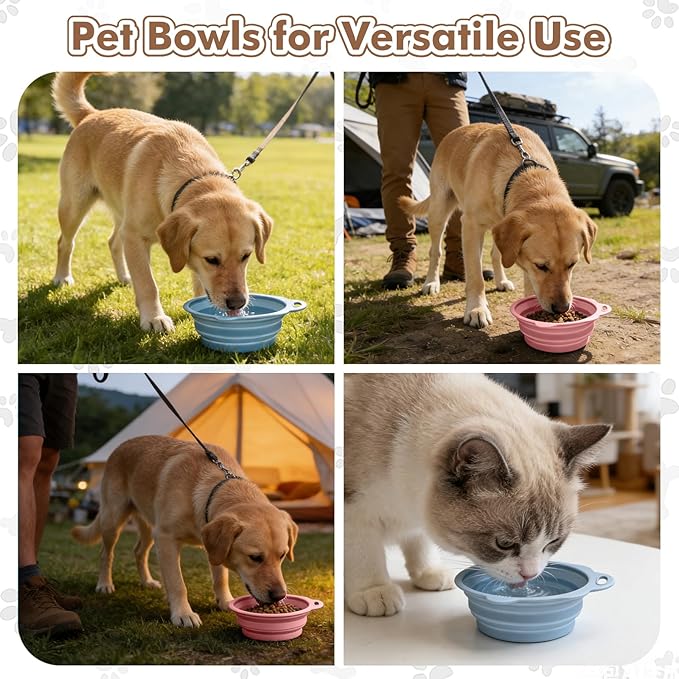 Collapsible Dog Bowls 2 Pack, Silicone Dog Bowl for Small Dogs, Dog Travel Bowl with a Lanyard Hole, Puppy Bowls for Water and Food, Travel Pet Bowls Blue & Pink, 11.3oz × 2