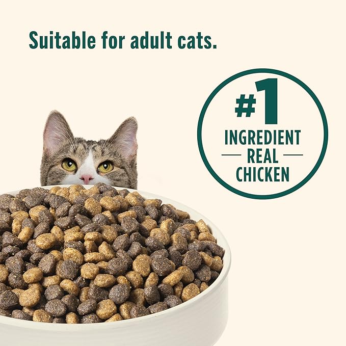 Nutrish Indoor Complete Chicken, Lentils & Salmon Recipe Dry Cat Food 14 lb. Bag, Packaging May Vary (Rachael Ray)