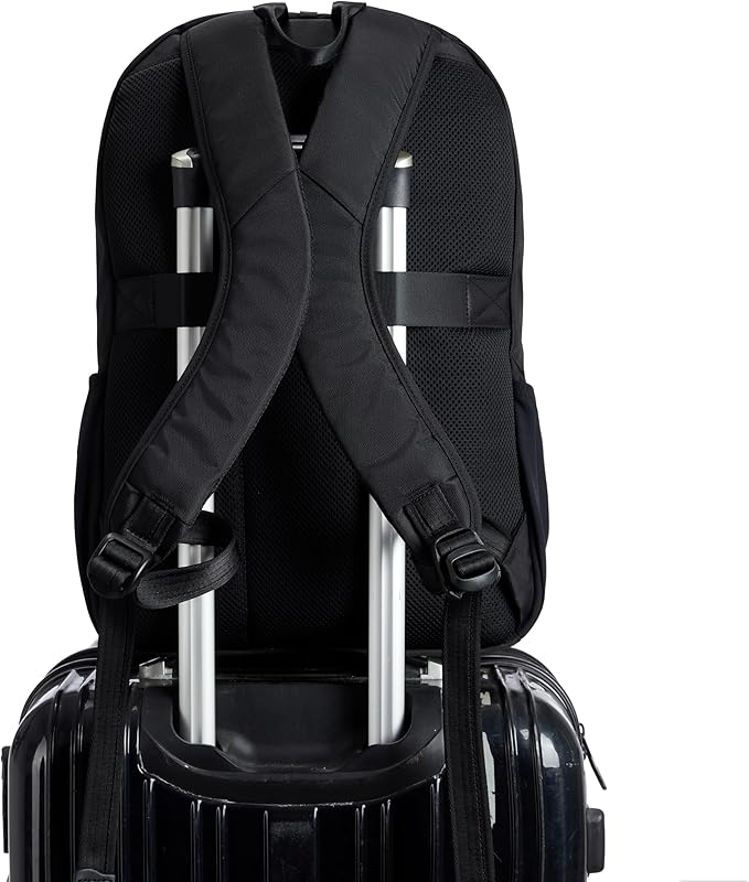 Travelon Classic Journeys 25L Backpack