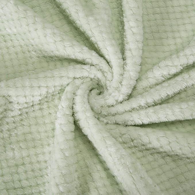 Fuzzy Throw Blanket, Plush Fleece Blankets for Adults, Toddler, Boys and Girls, Warm Soft Blankets and Throws for Bed, Couch, Sofa, Travel and Outdoor, Camping (Twin(60"x80"), XL1-Pastel Green)
