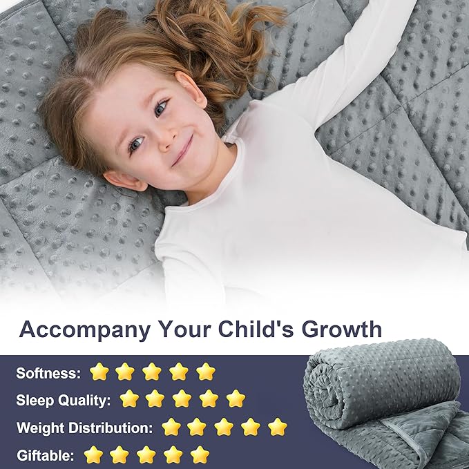 Alomidds Weighted Blanket, Luxury Velvet Weighted Blankets for Adults and Kids,Warm and Breathable Soft and Comfort Minky, Cute Heavy Blanket with Premium Glass Beads (36"x48" 5LBS, Grey)
