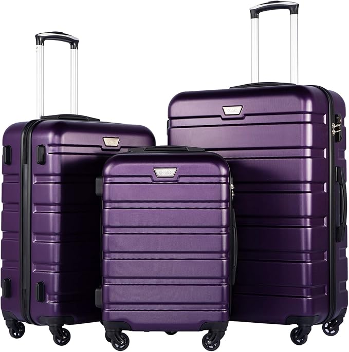 Coolife Luggage 3 Piece Set Suitcase Spinner Hardshell Lightweight TSA Lock (purple, 20/24/28)