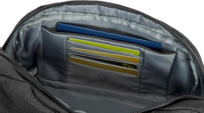 Travelon Anti-Theft Metro Waist Pack