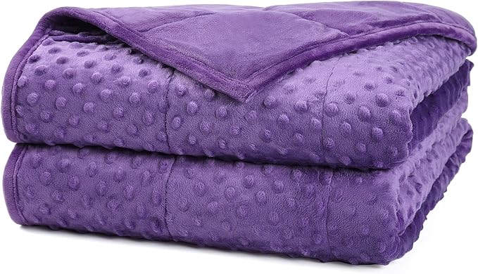 Alomidds Weighted Blanket (60"x80",15lbs Queen Size - Purple), Weighted Blankets for Adults, Breathable Soft and Comfort Minky, Heavy Blanket Microfiber Material with Glass Beads