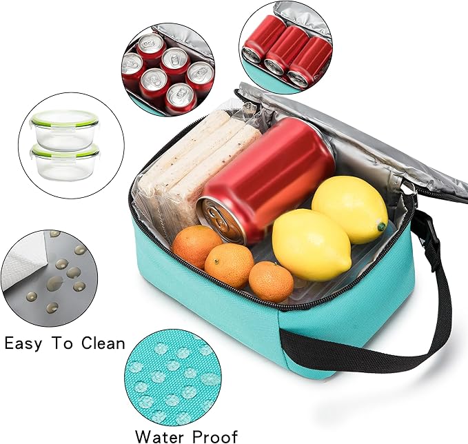 BEIMILY Lunch Box for Men Women Adults,Mini Insulated Lunch Bag for Office Work Picnic,Reusable Portable Lunchbox,Soft Cooler Tote Bag,6 can cooler bag,Mini,Light blue green