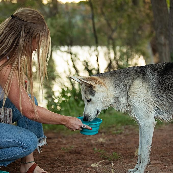 Messy Mutts Silicone Collapsible Bowl | Pet Travel Necessity | Portable Water or Food Dish | Pop Up Watering Bowl | Camping, Hiking, Walking Accessory | Large, 3 Cups | Watermelon