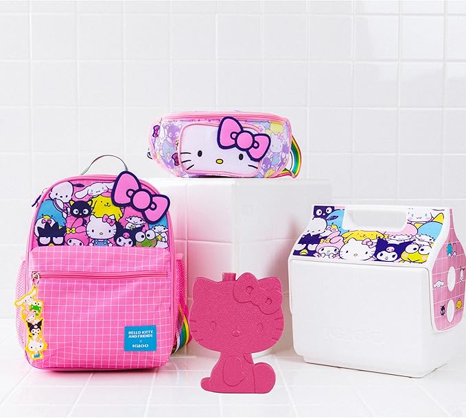 Igloo Ice Block 2-Pack | Reusable Freezer Packs | Disney | Hello Kitty | Star Wars