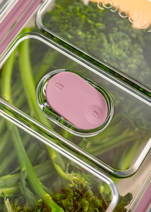 Latchlok Click 0.9 Cup Food Storage Container, Set of 2, Rose