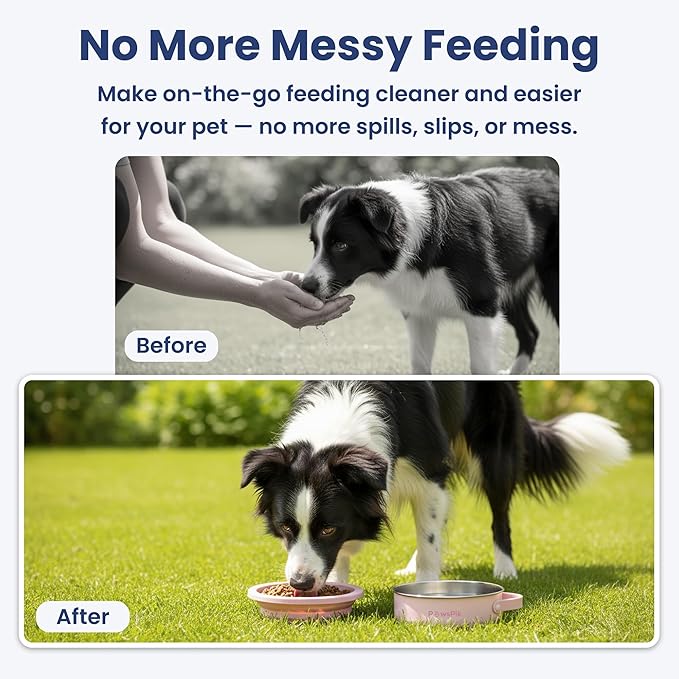 PawsPik 2-in-1 Travel Dog & Cat Bowl – Collapsible BPA-Free Silicone & 18/8 Stainless Steel, Portable & Non-Slip with Handle, Easy to Clean, Food & Water Bowl for On-The-Go Pets (Cherry Blossom Pink)