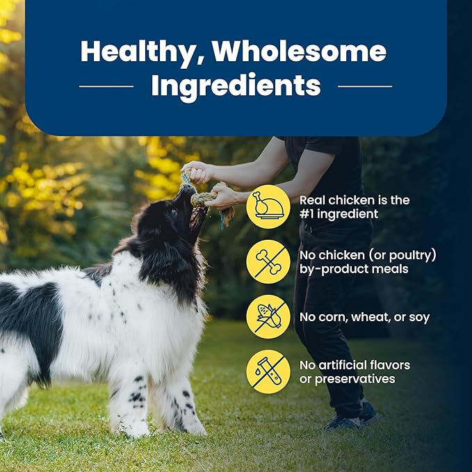 Blue Buffalo Life Protection Formula Healthy Weight Adult Dry Dog Food, Supports an Ideal Weight, Made with Natural Ingredients, Chicken & Brown Rice Recipe, 30-lb Bag