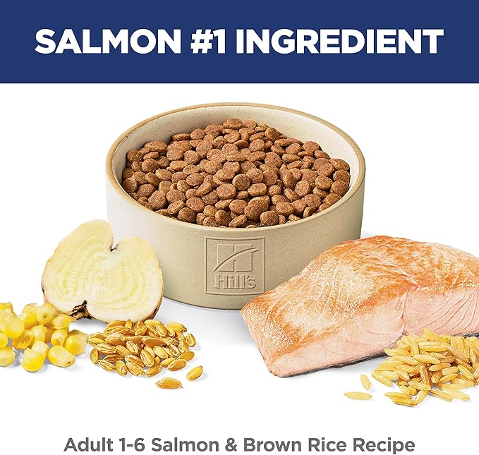 Hill's Science Diet Adult 1-6 Dry Cat Food, Salmon & Brown Rice, 6.5 lb. Bag