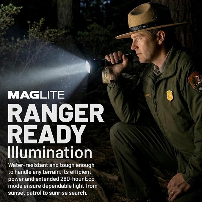 MagLite ML300L LED 2-Cell D Display Box