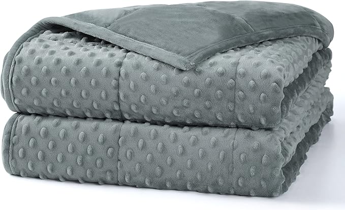 Alomidds Weighted Blanket, Luxury Velvet Weighted Blankets for Adults and Kids,Warm and Breathable Soft and Comfort Minky, Cute Heavy Blanket with Premium Glass Beads (36"x48" 5LBS, Grey)