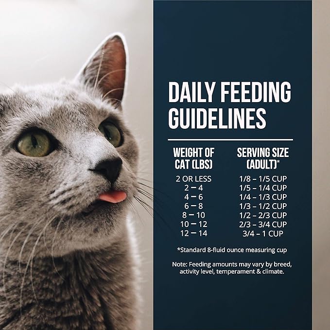 Fussie Cat Market Fresh Salmon Meal Formula Grain-Free Dry Cat Food 2 Lb