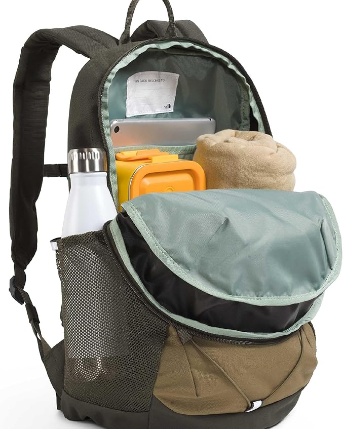 The North Face Kids' Court Jester Backpack - Water-Repellent Travel Bag, Spacious Main Compartment, for Tweens/Young Teens, Cedar/New Taupe Green/Lava Red, One Size