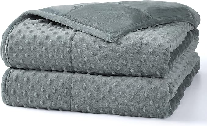 Alomidds Weighted Blanket (60"x80",15lbs Queen Size - Grey), Weighted Blankets for Adults and Kids, Cooling Breathable Soft and Comfort Minky, Heavy Blanket Microfiber Material with Glass Beads