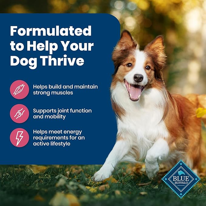 Blue Buffalo Life Protection Formula Adult Dry Dog Food, Helps Build and Maintain Strong Muscles, Made with Natural Ingredients, Salmon & Brown Rice Recipe, 30-lb. Bag