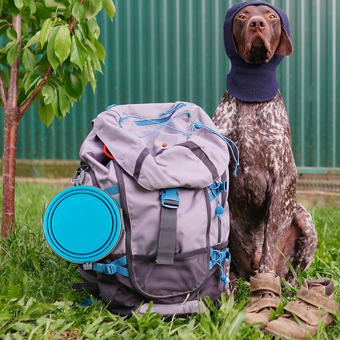 Loving Pets Bella Roma Collapsible Dog Bowls - Silicone Dog Bowls, Foldable Bowl, Puppy Essentials & Hiking Pet Supplies Great for Home & Travel (Blue, Small)