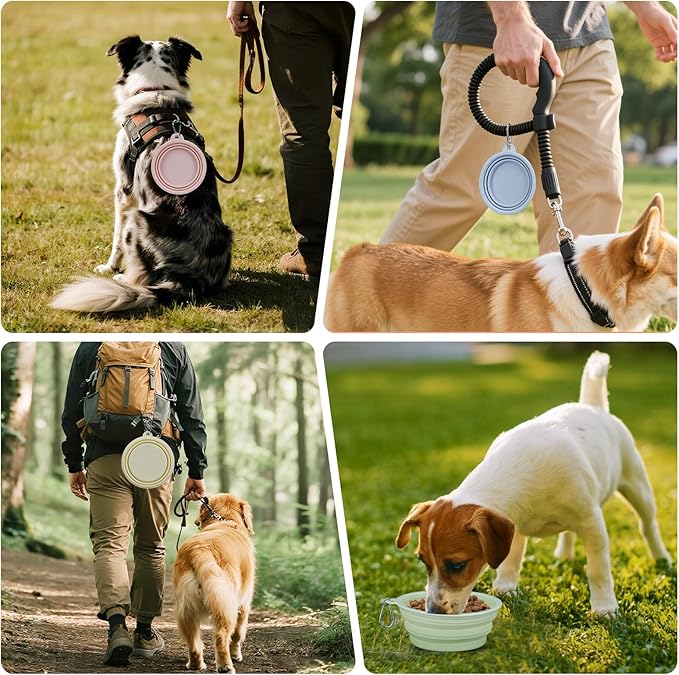 Collapsible Dog Bowls 2-Pack, 22OZ Silicone Large Breed Water & Food Bowls, Portable Pet Bowls with Hook for Travel, Meet Needs in Different Scenarios,Pet Essentials