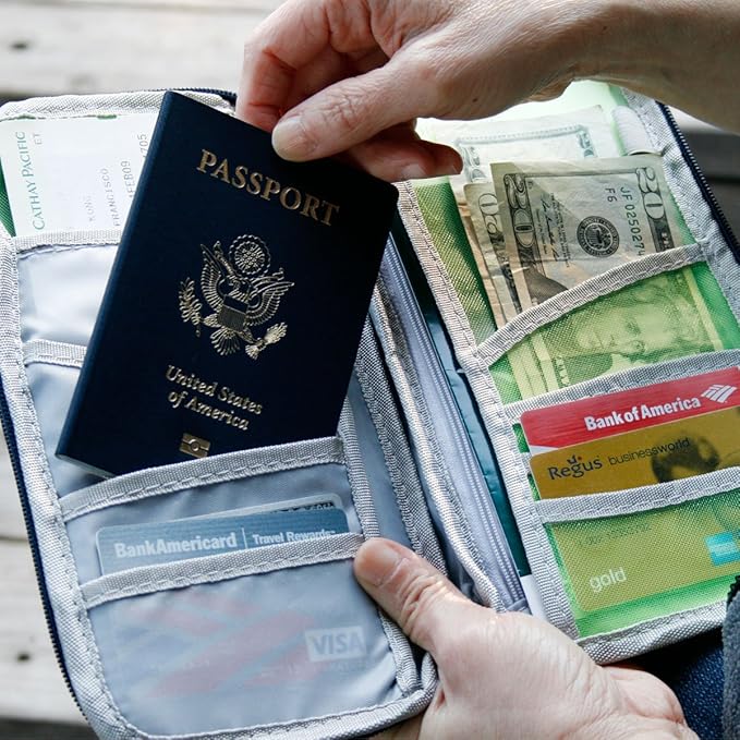 Wrapables® Passport and Travel Documents Holder, Pink