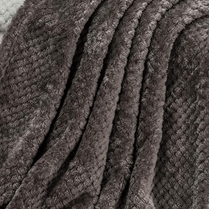 Fuzzy Throw Blanket, Plush Fleece Blankets for Adults, Toddler, Boys and Girls, Warm Soft Blankets and Throws for Bed, Couch, Sofa, Travel and Outdoor, Camping (40”×60”, Eagle Grey)