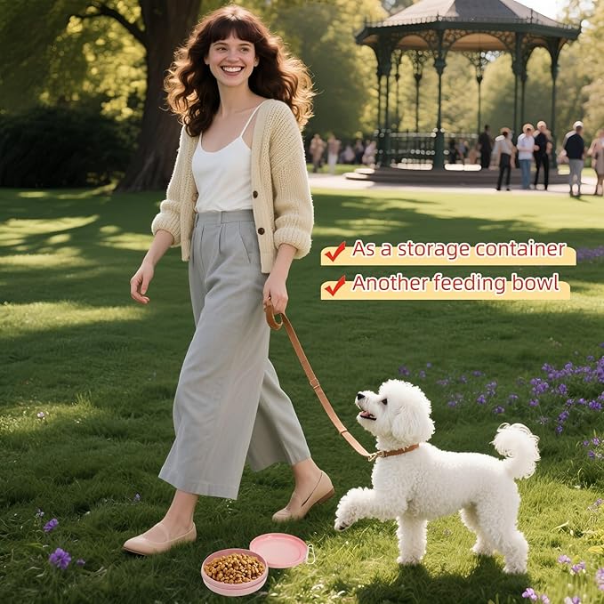 Portable Dog Food & Water Bowl for Travel - Rotating Lock Spill-Proof Pet Dish with Carabiner - BPA-Free Silicone Non Slip Bowl 250ml (Pink, Small)