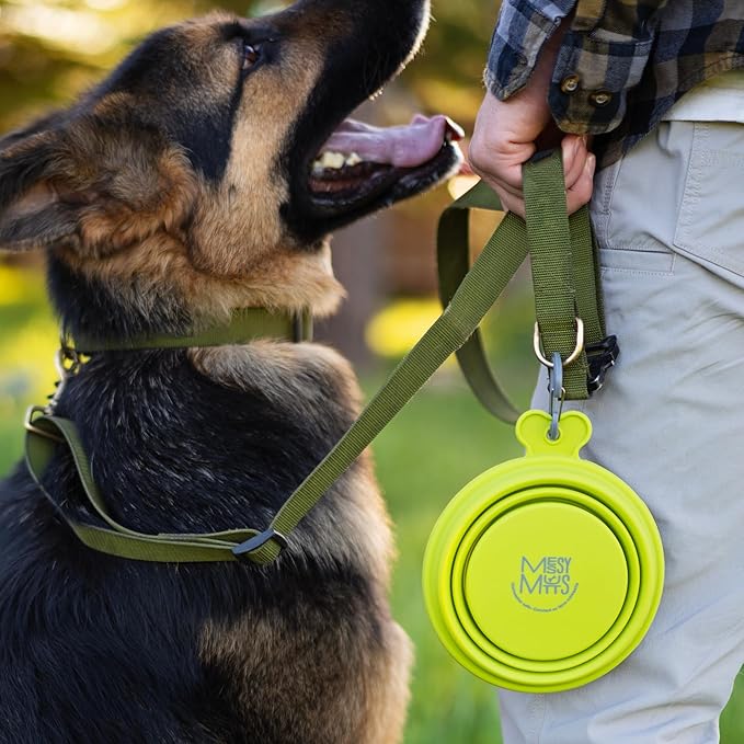 Messy Mutts Silicone Collapsible Bowl | Pet Travel Necessity | Portable Water or Food Dish | Pop Up Watering Bowl | Camping, Hiking, Walking Accessory | Small, 1.75 Cups | Blue
