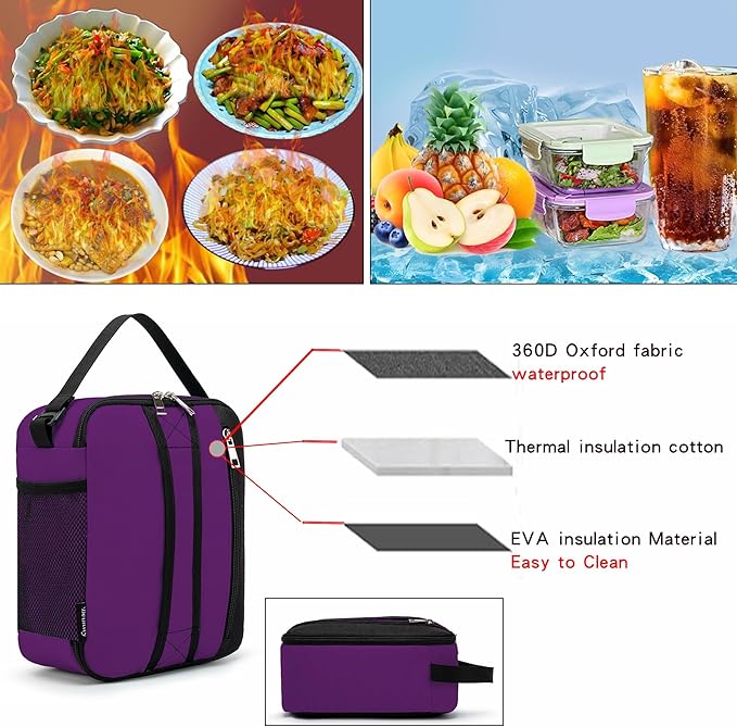 BEIMILY Lunch Box for Men Women Adults,Small Insulated Lunch Bag for Office Work Picnic,Reusable Portable Lunchbox,Soft Cooler Tote Bag(Dark Purple)