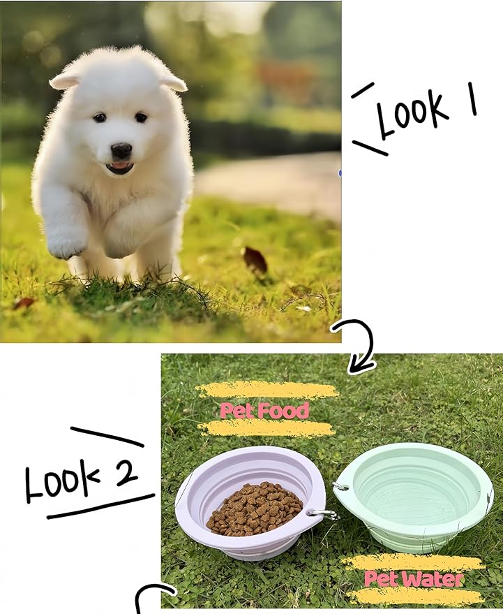 Portable Collapsible Pet Bowl - Food Grade TPR/Silicone, Foldable Dog Cat Travel Bowl with Carabiner for Hiking Camping, Easy Clean & Lightweight (Green)