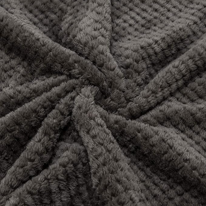 Fuzzy Throw Blanket, Plush Fleece Blankets for Adults, Toddler, Boys and Girls, Warm Soft Blankets and Throws for Bed, Couch, Sofa, Travel and Outdoor, Camping (40”×60”, Eagle Grey)