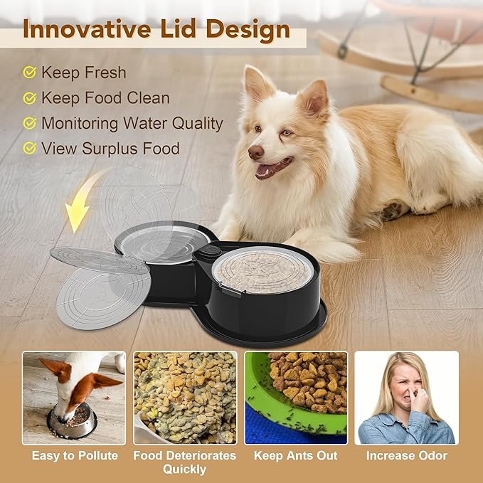 Newget Stainless Steel Dog Bowl Set with Lids, 304 Metal Dual Food & Water Bowls for Dogs & Cats, Foldable Pet Feeder with Cover Keeps Food Fresh, Anti-Skid Dog Dish for Small/Medium/Large Pets