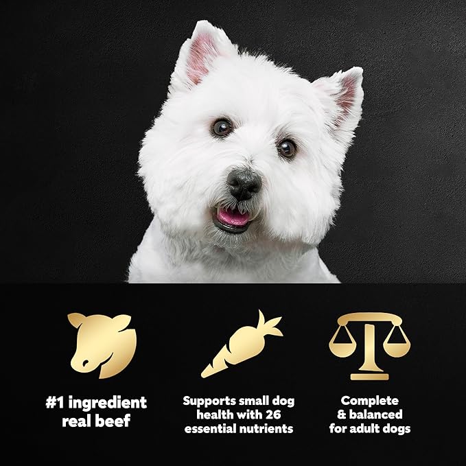 Cesar Small Breed Dry Dog Food for Small Dogs, Filet Mignon Flavor and Spring Vegetables Garnish, 2.7 lb Bag