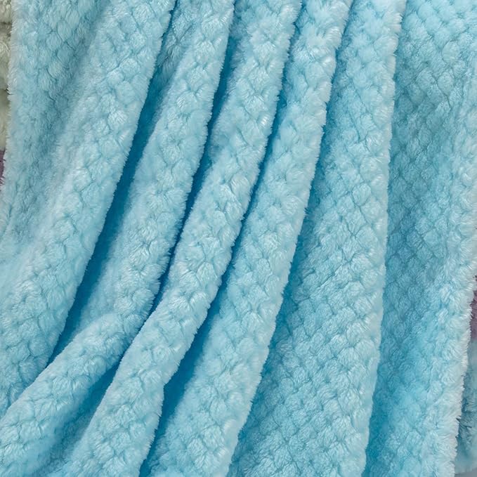 Fuzzy Throw Blanket, Plush Fleece Blankets for Adults, Toddler, Boys and Girls, Warm Soft Blankets and Throws for Bed, Couch, Sofa, Travel and Outdoor, Camping (40”×60”, Ice Blue)