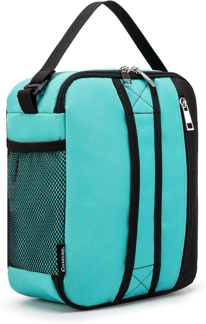 BEIMILY Lunch Box for Men Women Adults,Small Insulated Lunch Bag for Office Work Picnic,Reusable Portable Lunchbox,Soft Cooler Tote Bag(Light blue green)