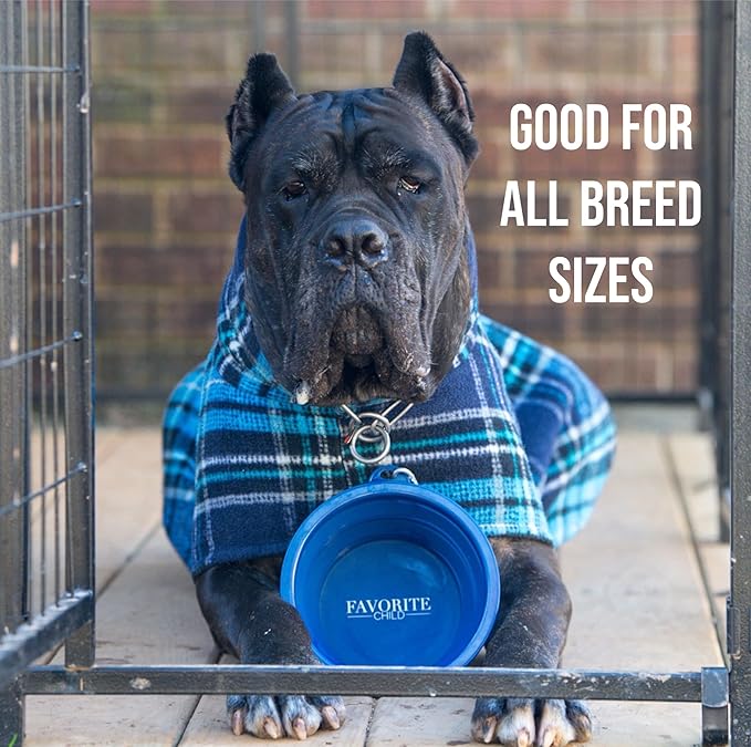 SparkDog Sweet But Psycho Collapsible Dog Bowl, 1000ML (34oz) –XL Food-Grade Silicone Travel Bowl with Sturdy Rim – Extra Large Portable for Dogs & Cats – Great for Pet Lovers (Gray)